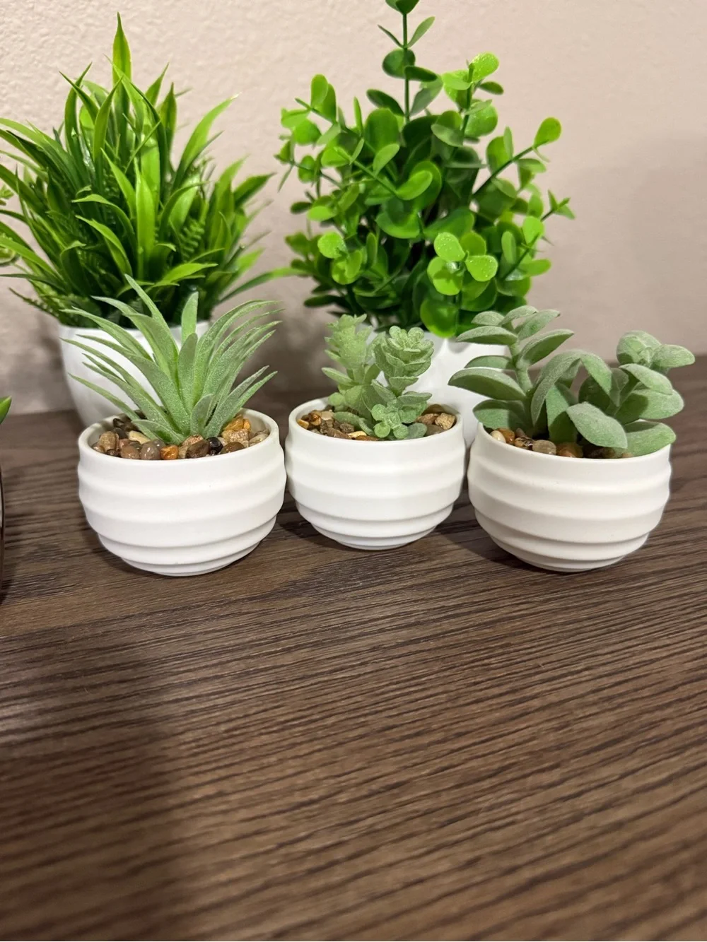 Assorted Green Faux Succulent Set in White and Brown Planters - Home Accents